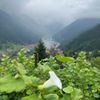 smail_1214