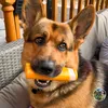 bellotv1234
