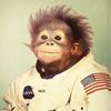 monkeym0on