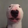 eric.tejas10