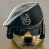jack_o69