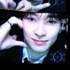 icy_vnz
