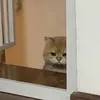 mih.nguyet4