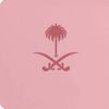 saher555a3
