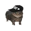 zullrawrr