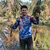 cicakcicakdidinding89