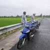 dangtrongtri08