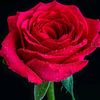 user1707977428342
