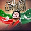 mujeebrp0076