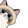 chinchinnawnoo