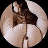 anf0702