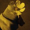 sergeynagorny11