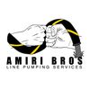 amiribroslinepumping