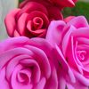 shenu.craft164