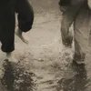 zuu