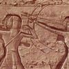 samaraali.6