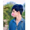 roman_gulii_47