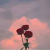 xxcitation_974xx