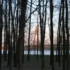 luken_nyanen