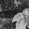 xcvbttrfly