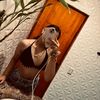 camiilarvc