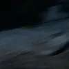 thanhlongfifi6