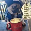 www.tik.tok.com78
