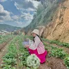 lynhiingrid