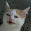 almendrara_
