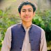syed_zaibullah