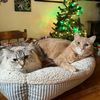 hank_and_bea