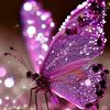 nancyvargas9758