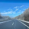 pasa_moroz_