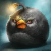 balugdisg1