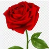 user6124165041629