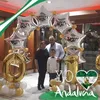 angelesmarinsilva