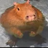jackengunda
