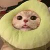 nanooo_222