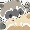 racoon_is_