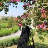 ayeshaaaa005