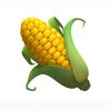 cornnnnnnnnnnnnnnnnnn