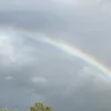 proudgayscot