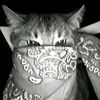 lovekazo0o