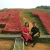 Vệ trần