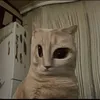 bigpaw103
