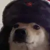 russiandoggo