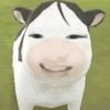 sakuyaey