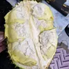 tuan_manh11