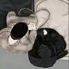 faa_widia