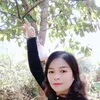 dyah15phne2h